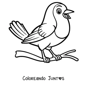 Imagen para colorear de un petirrojo cantando con el pico abierto