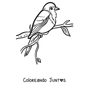 Imagen para colorear de un petirrojo posado en una rama con hojas