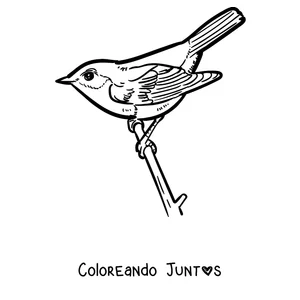 Imagen para colorear de un petirrojo en la punta de una ramita