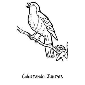 Imagen para colorear de un petirrojo en una rama con una hoja
