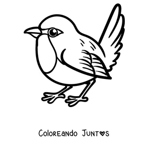 Imagen para colorear de un petirrojo tierno con la colita levantada