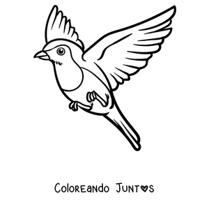 Imagen para colorear de un petirrojo volando con las alas extendidas