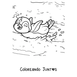 Imagen para colorear de un pingüino deslizándose sobre la panza