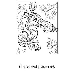 Imagen para colorear de una pitón colgando de un árbol