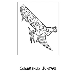 Imagen para colorear de un pterodáctilo posado con las alas de piel detallada