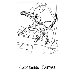 Imagen para colorear de la cabeza de un pterodáctilo con su cresta en primer plano