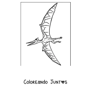 Imagen para colorear de un pterodáctilo sencillo volando en el cielo