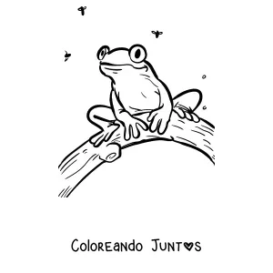 Imagen para colorear de una rana arborícola en una rama rodeada de insectos