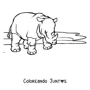 Imagen para colorear de un rinoceronte de perfil
