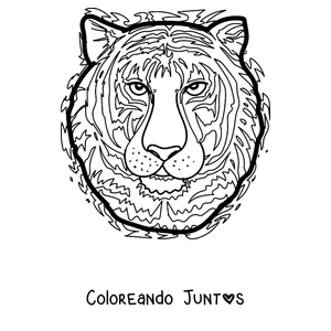 Imagen para colorear del rostro de un tigre de frente