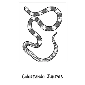 Imagen para colorear de una serpiente coral con anillos
