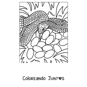 Imagen para colorear de una serpiente cuidando sus huevos