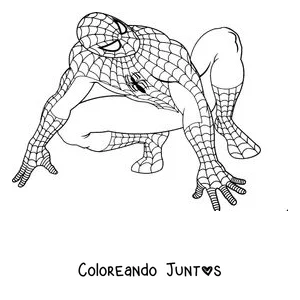 Imagen para colorear de Spider-Man agachado en cuatro patas listo para saltar