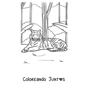 Imagen para colorear de un tigre descansando en la selva