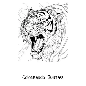 Imagen para colorear de una cabeza de tigre rugiendo